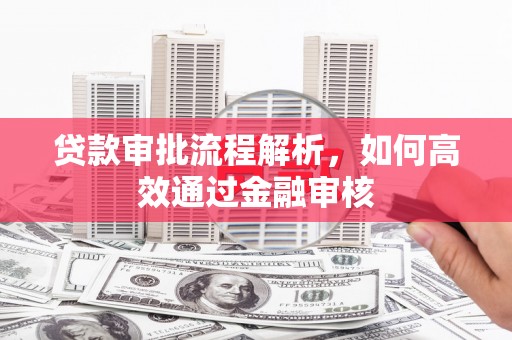 后龙贷款审批流程解析，如何高效通过金融审核