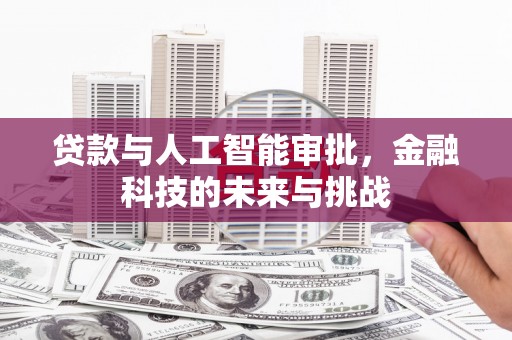后龙贷款与人工智能审批，金融科技的未来与挑战