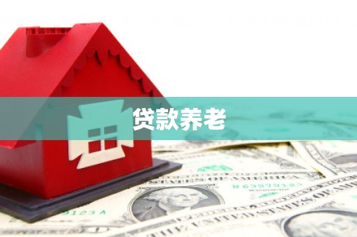 后龙贷款养老