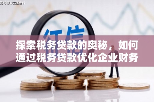 后龙探索税务贷款的奥秘，如何通过税务贷款优化企业财务