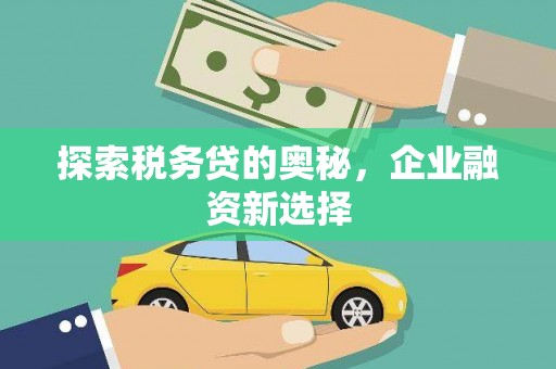 后龙探索税务贷的奥秘，企业融资新选择