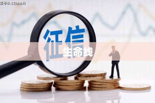 后龙生命线