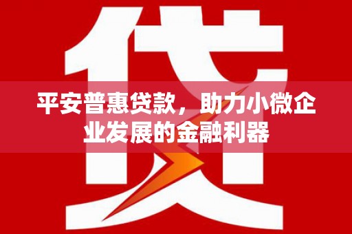后龙平安普惠贷款，助力小微企业发展的金融利器