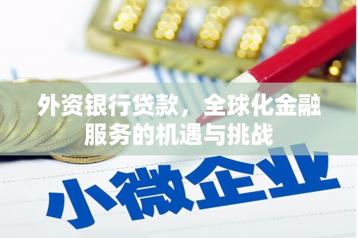 后龙外资银行贷款，全球化金融服务的机遇与挑战