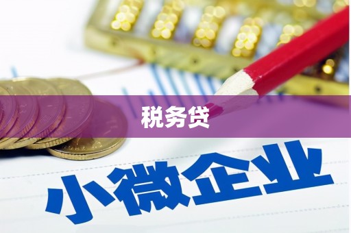 后龙税务贷