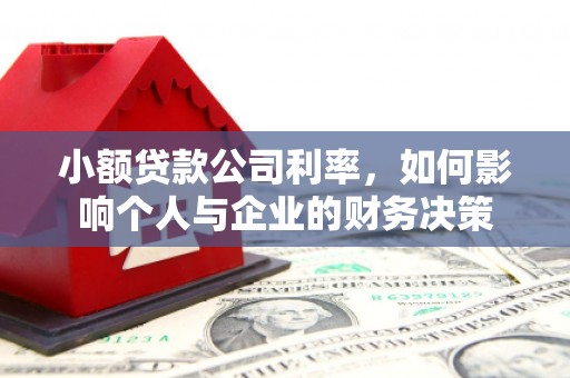 后龙小额贷款公司利率，如何影响个人与企业的财务决策