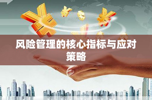 后龙风险管理的核心指标与应对策略