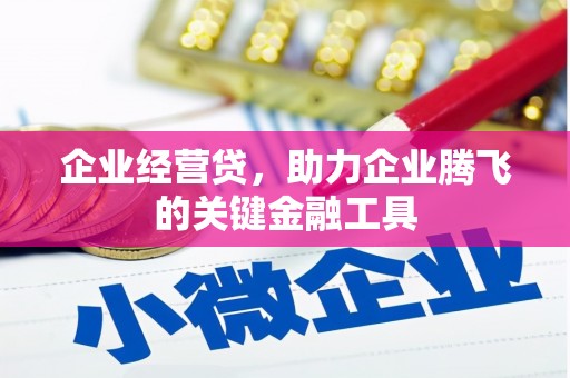 后龙企业经营贷，助力企业腾飞的关键金融工具