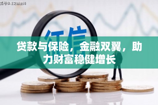 后龙贷款与保险，金融双翼，助力财富稳健增长
