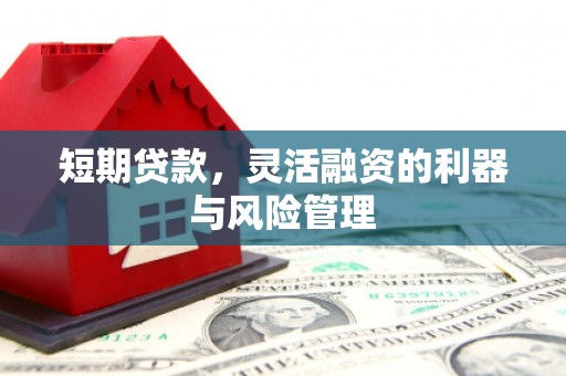 后龙短期贷款，灵活融资的利器与风险管理