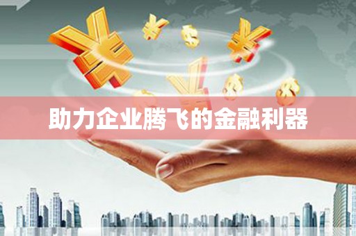 后龙助力企业腾飞的金融利器