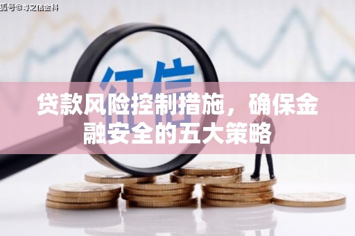 后龙贷款风险控制措施，确保金融安全的五大策略