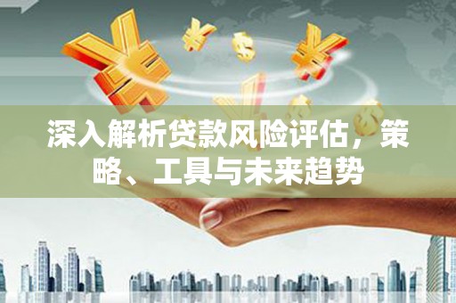 后龙深入解析贷款风险评估，策略、工具与未来趋势