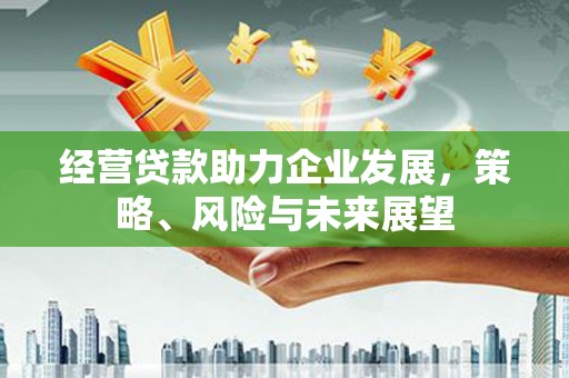 后龙经营贷款助力企业发展，策略、风险与未来展望