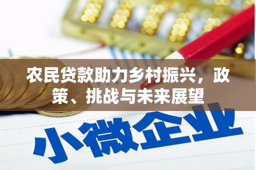 后龙农民贷款助力乡村振兴，政策、挑战与未来展望