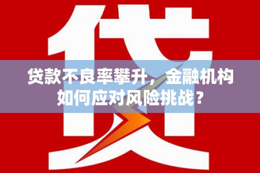 后龙贷款不良率攀升，金融机构如何应对风险挑战？