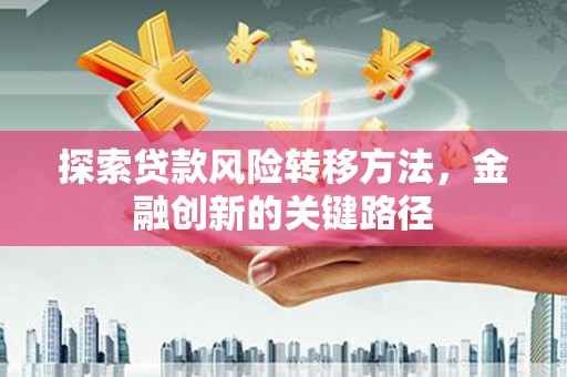 后龙探索贷款风险转移方法，金融创新的关键路径