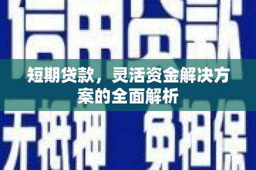 后龙短期贷款，灵活资金解决方案的全面解析