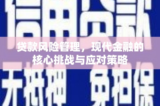 后龙贷款风险管理，现代金融的核心挑战与应对策略