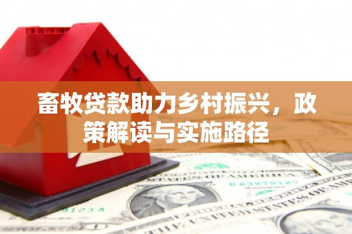 后龙畜牧贷款助力乡村振兴，政策解读与实施路径