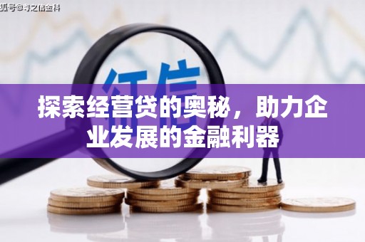 后龙探索经营贷的奥秘，助力企业发展的金融利器