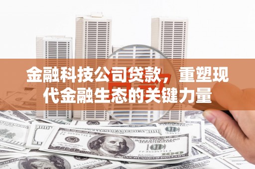 后龙金融科技公司贷款，重塑现代金融生态的关键力量