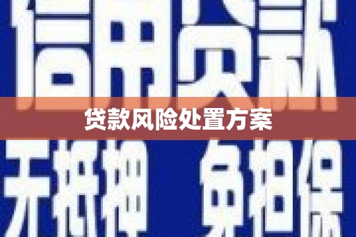 后龙贷款风险处置方案