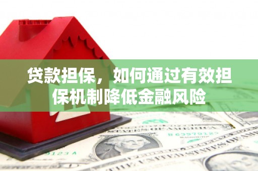 后龙贷款担保，如何通过有效担保机制降低金融风险