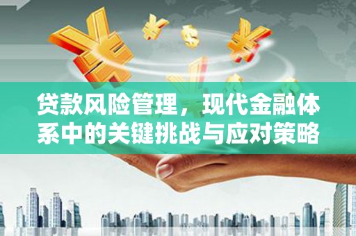 后龙贷款风险管理，现代金融体系中的关键挑战与应对策略