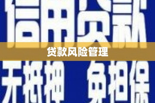 后龙贷款风险管理