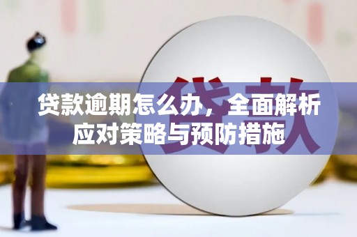 后龙贷款逾期怎么办，全面解析应对策略与预防措施