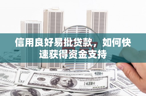 后龙信用良好易批贷款，如何快速获得资金支持