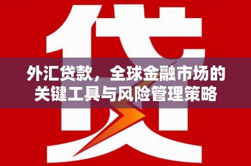 后龙外汇贷款，全球金融市场的关键工具与风险管理策略