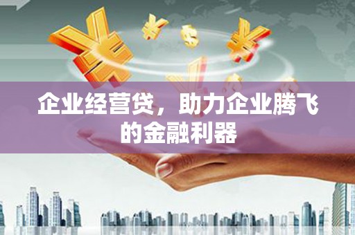 后龙企业经营贷，助力企业腾飞的金融利器