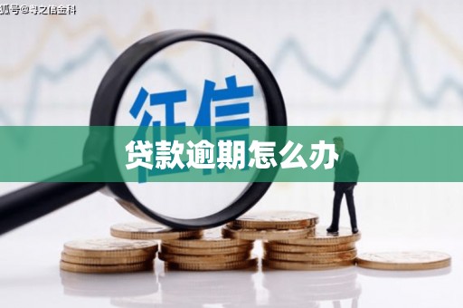 后龙贷款逾期怎么办