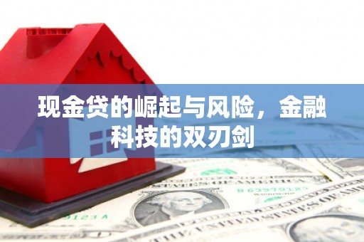 后龙现金贷的崛起与风险，金融科技的双刃剑