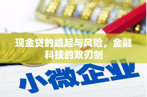 后龙现金贷的崛起与风险，金融科技的双刃剑