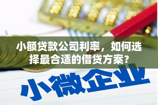 后龙小额贷款公司利率，如何选择最合适的借贷方案？