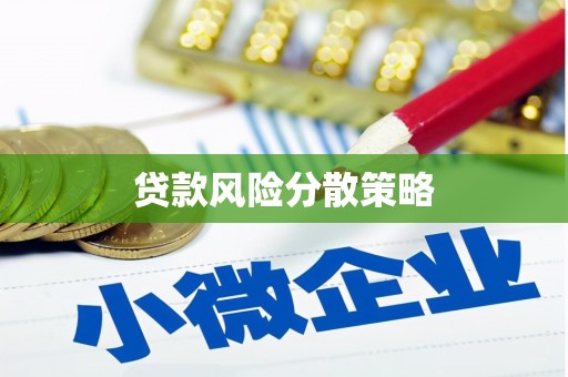 后龙贷款风险分散策略