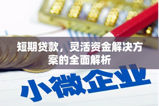 后龙短期贷款，灵活资金解决方案的全面解析