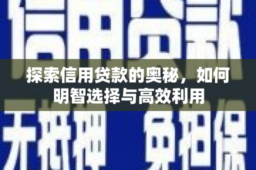 后龙探索信用贷款的奥秘，如何明智选择与高效利用