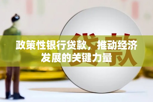 后龙政策性银行贷款，推动经济发展的关键力量