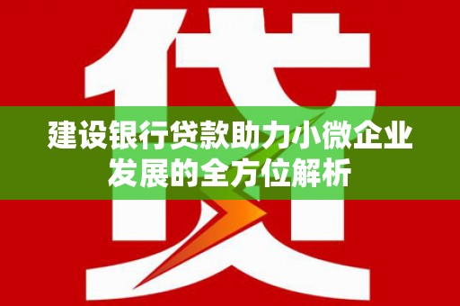 后龙建设银行贷款助力小微企业发展的全方位解析