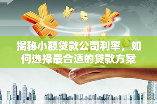 后龙揭秘小额贷款公司利率，如何选择最合适的贷款方案