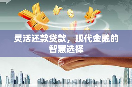 后龙灵活还款贷款，现代金融的智慧选择