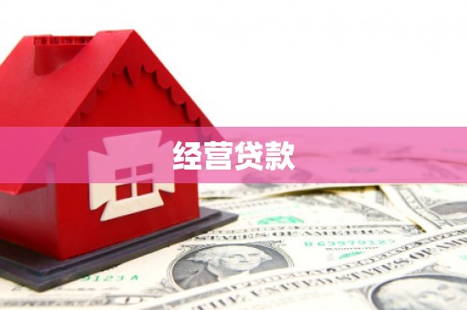 后龙经营贷款