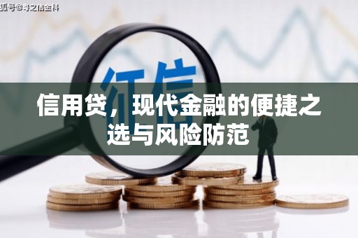 后龙信用贷，现代金融的便捷之选与风险防范