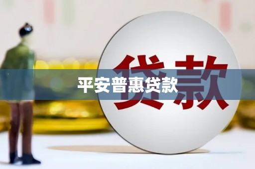 后龙平安普惠贷款