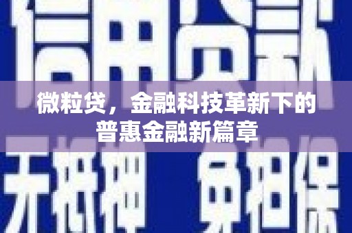 后龙微粒贷，金融科技革新下的普惠金融新篇章
