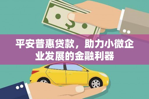 后龙平安普惠贷款，助力小微企业发展的金融利器